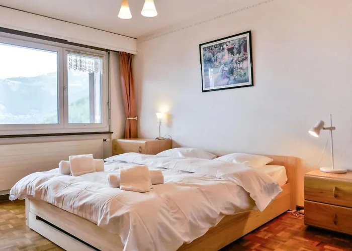 Valaisia 44b By Interhome Apartamento Nendaz